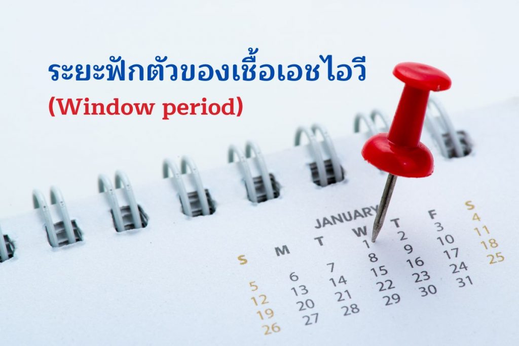 ระยะฟักตัวของเชื้อเอชไอวี (Window period) 