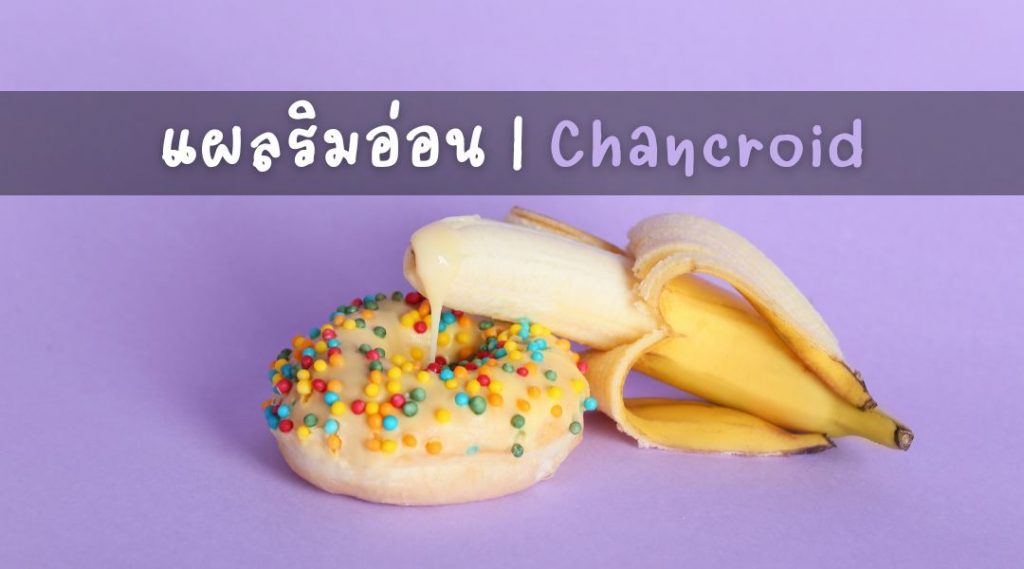 แผลริมอ่อน Chancroid สังเกตอาการในเพศชายและเพศหญิง